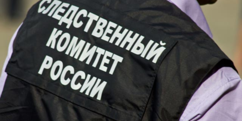 В Красногородском районе проводится проверка по факту гибели мужчины при пожаре - 2024-07-15 17:05:00 - 1