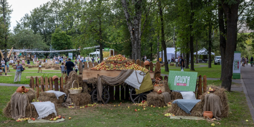 Гостями фестиваля «Лешуга» стали 26 тыс человек - 2024-08-19 15:05:00 - 1