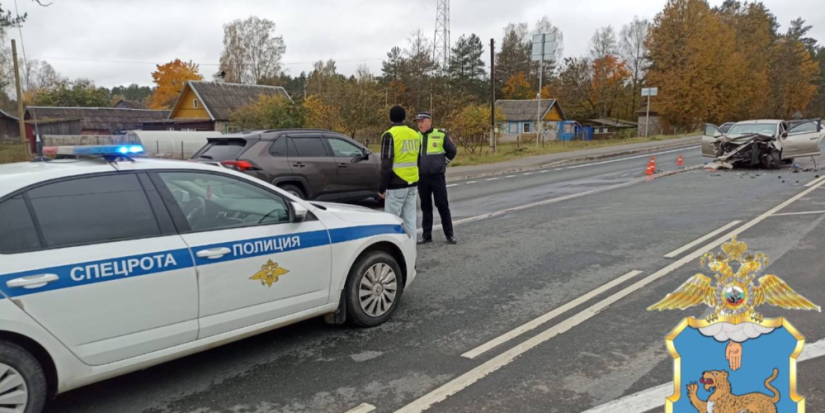 Ребенок и водитель иномарки погибли в ДТП в Пустошкинском районе - 2024-10-14 16:35:00 - 1