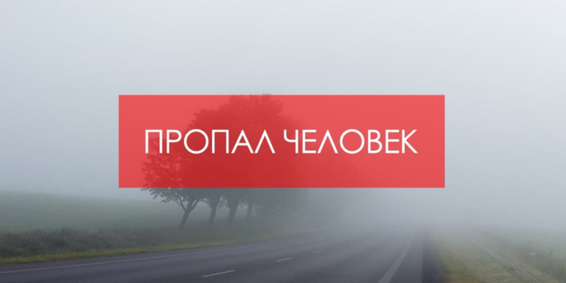 Волонтеров для поиска подростка набирают в Великих Луках - 2024-11-06 14:35:00 - 1