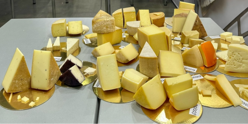 Сыры Великолукского молочного комбината завоевали 8 медалей на CHEESE EXPO 2025 - 2025-04-03 17:45:00 - 1