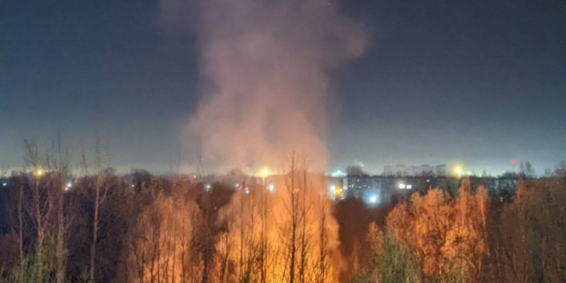 С начала года в Псковской области произошло более 870 пожаров - 2025-04-09 13:35:00 - 1