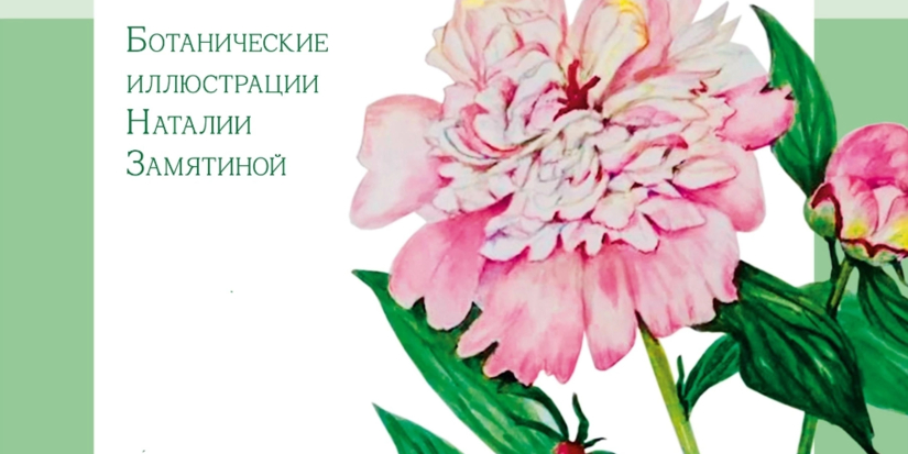 Выставка ботанической графики открывается в Изборске - 2025-04-10 17:05:00 - 1