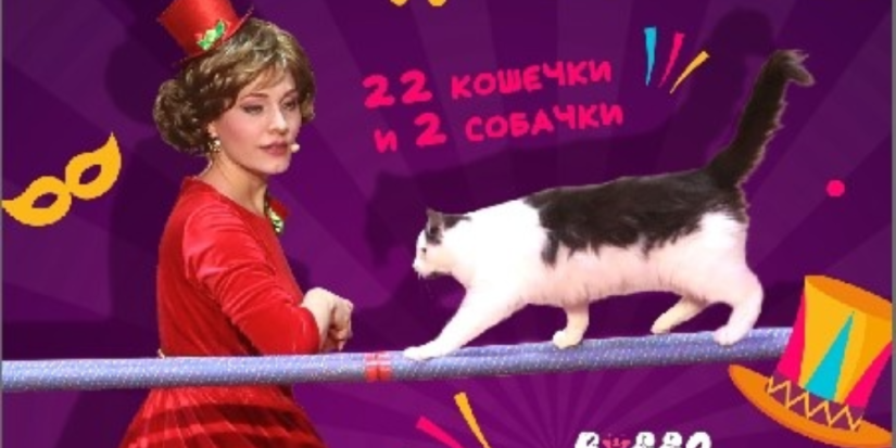 Театр кошек Ю. Куклачева проведет Фестиваль доброты в Псковской области - 2025-04-11 12:05:00 - 1