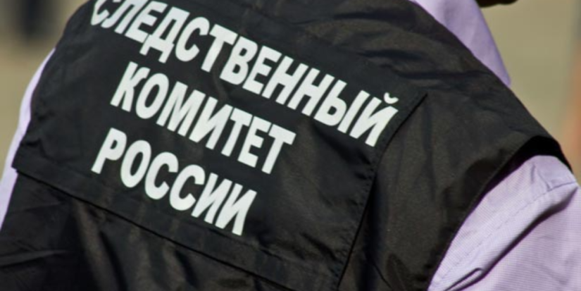 СК Псковской области продолжает расследование дела о гибели мужчины на охоте - 2025-04-15 11:35:00 - 1