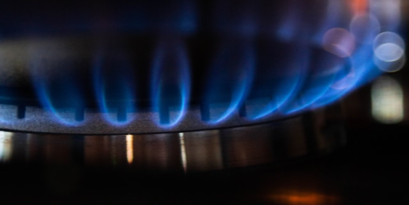 В великолукской деревне Жестки созданы условия для газификации более 120 домов - 2025-04-15 10:05:00 - 1