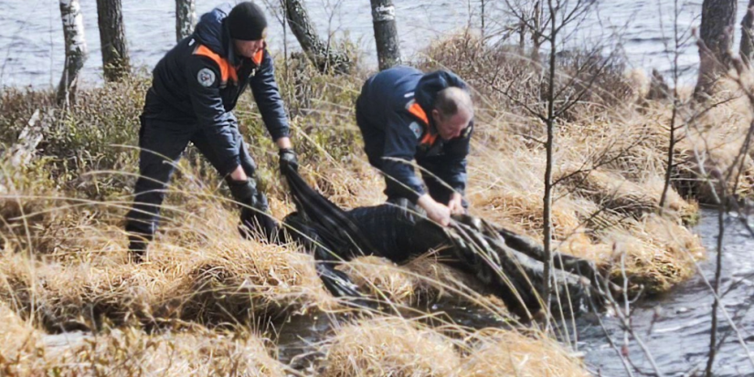Тело утонувшего мужчины нашли в Красногородском районе - 2025-04-17 11:35:00 - 1