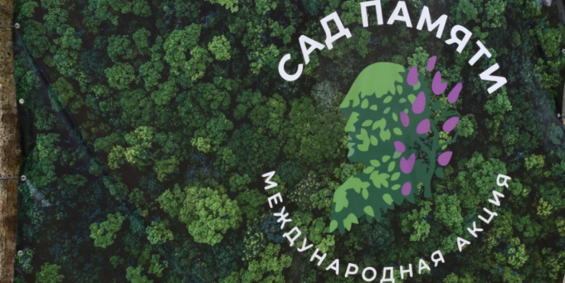 5 тысяч сосен высажено в Печорском районе - 2025-04-18 15:05:00 - 1