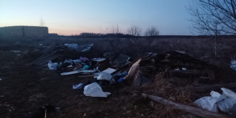 В Дедовичском районе уберут свалку - 2025-05-24 11:05:00 - 1