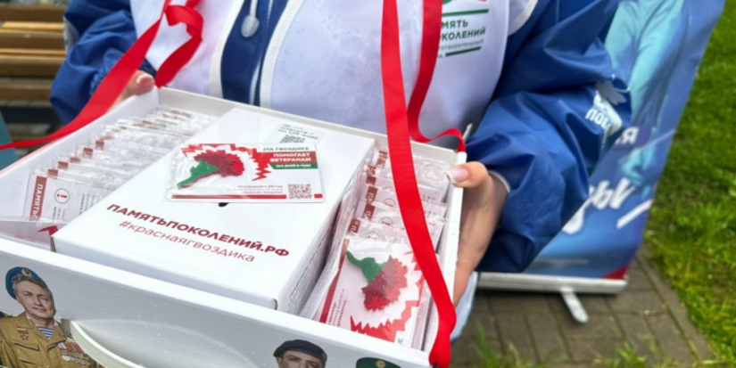 Псковская область присоединилась к акции «Красная гвоздика» - 2025-05-27 08:35:00 - 1