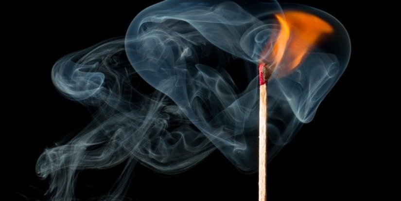 От одной спички может погибнуть целый лесной массив - 2025-06-14 12:05:00 - 1