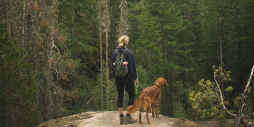 В СЗФО активнее всего растет число МСП в сфере образования, спорта и туризма - 2025-06-21 11:05:00 - 1