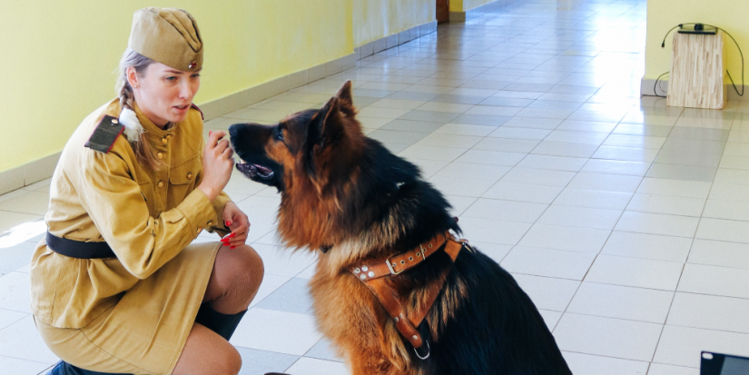 Сотрудники МЧС рассказали детям о четвероногих героях войны - 2025-06-23 11:35:00 - 1