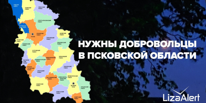 Отряд «ЛизаАлерт» ищет добровольцев в районах Псковской области - 2025-07-19 11:04:00 - 1