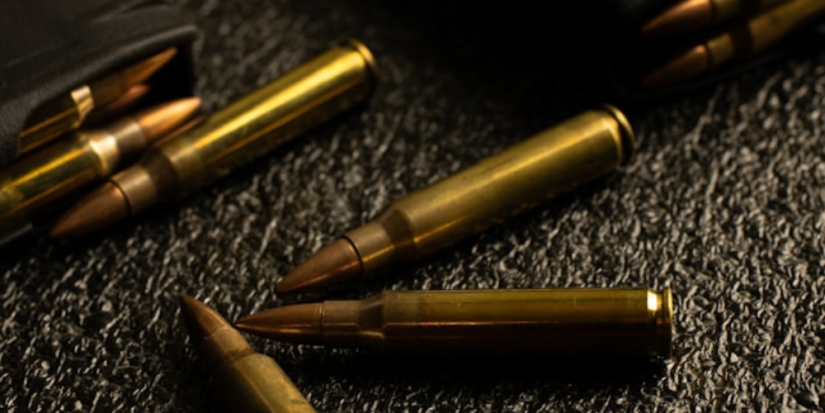 За неделю у жителей региона изъяли 37 единиц оружия и 130 патронов - 2025-07-21 17:35:00 - 1