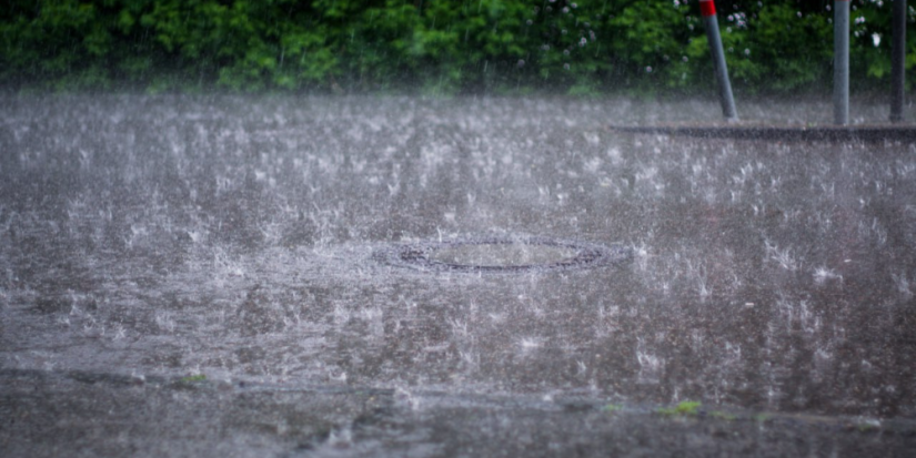 Жителей Псковской области снова предупредили о грозах и ливнях - 2025-07-28 10:35:47 - 1