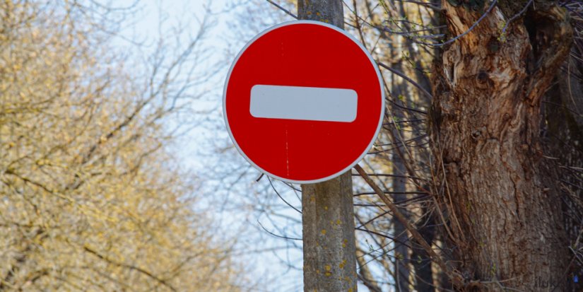 Жительницу Пушкиногорского района не выпустили в Эстонию из-за долгов - 2025-07-29 10:35:00 - 1