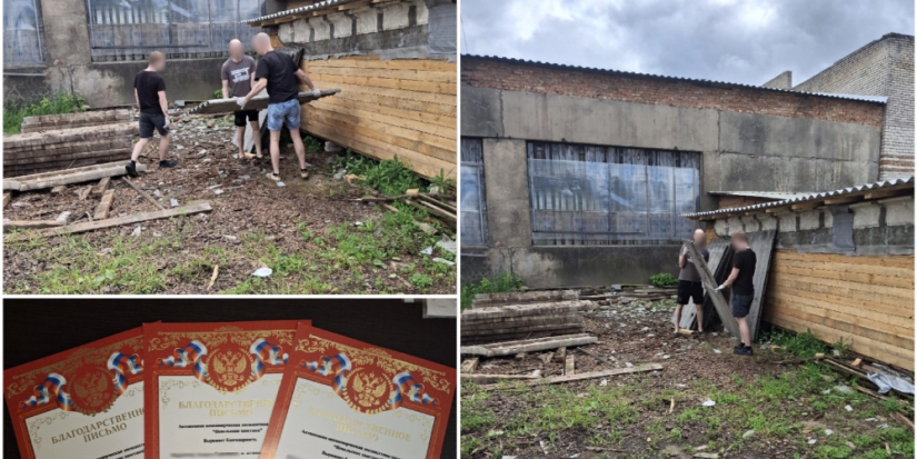 Осуждённые из Невеля помогают зооприюту в свободное время - 2025-07-29 11:06:00 - 1