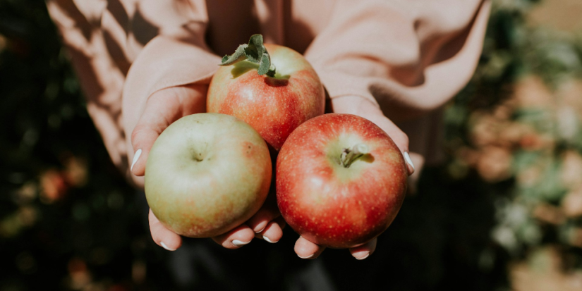 Сидродельни из разных регионов России представят напитки на фестивале в Пскове - 2025-08-06 09:05:00 - 1