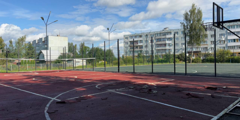 В Псковском районе ищут вандалов, испортивших спортивную площадку - 2025-08-29 14:35:00 - 1