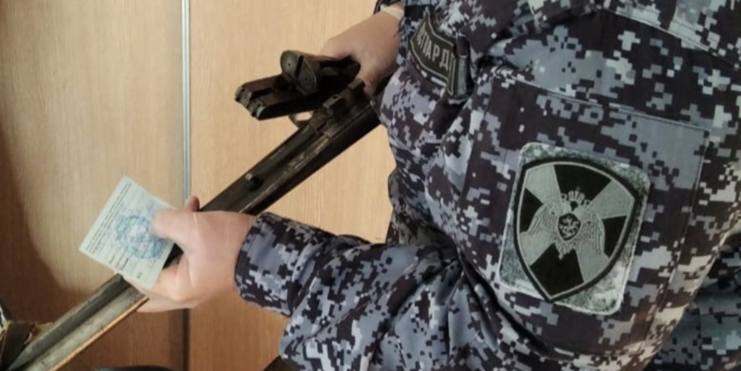 Более 200 патронов изъяли у жителей Псковской области - 2025-09-02 12:35:00 - 1