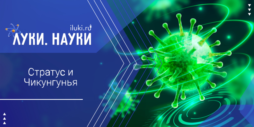 «Луки.Науки» возвращается с рассказом про вирусы - 2025-09-18 17:35:00 - 1