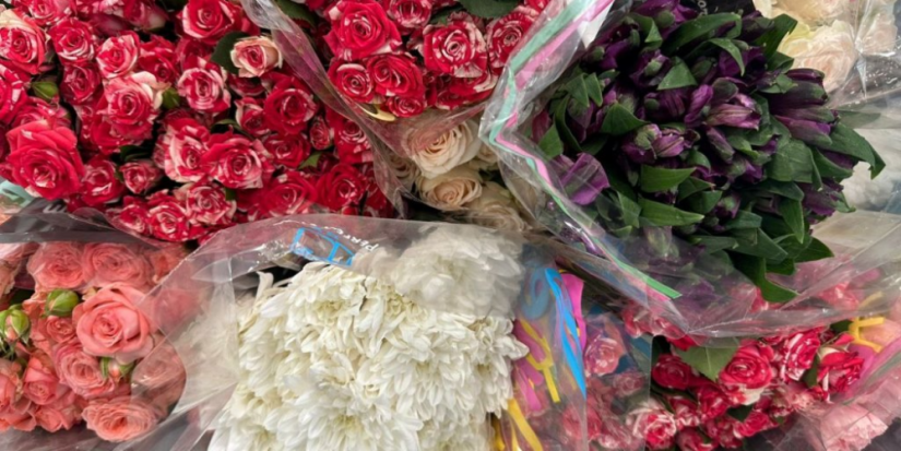 В Псковской области уничтожат заражённые цветы из-за карантинного вредителя - 2025-09-18 17:05:00 - 1