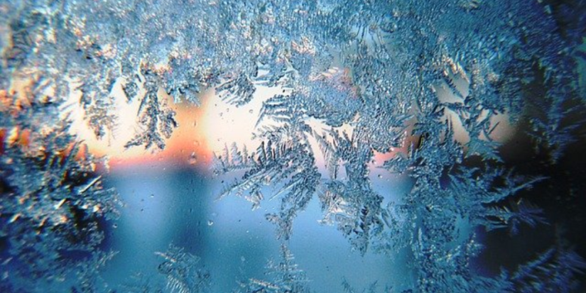 Жителей Псковщины предупредили о заморозках - 2025-09-24 17:35:00 - 1