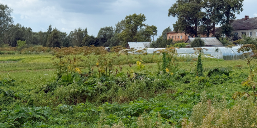 Авторы лучших идей о популяризации загородной жизни поедут в Москву - 2025-09-27 11:05:00 - 1