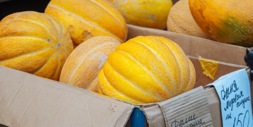 Более 100 аграриев уже зарегистрировались для участия в псковской ярмарке - 2025-09-30 08:35:00 - 1