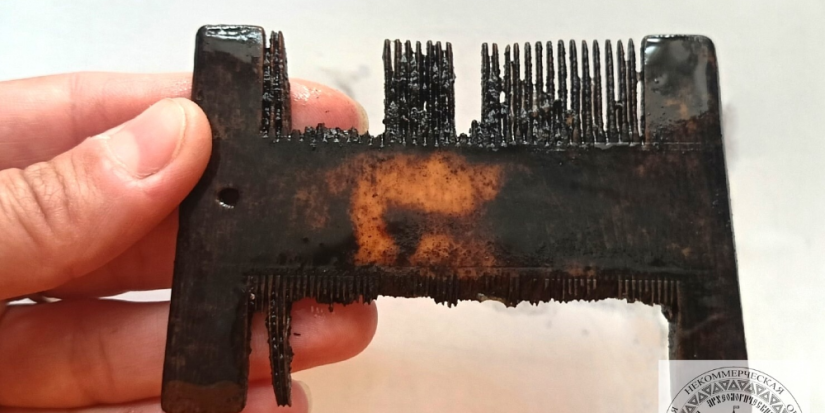 Артефакты из Варлаамовского раскопа пополнят коллекцию Псковского музея - 2025-10-03 12:05:00 - 1