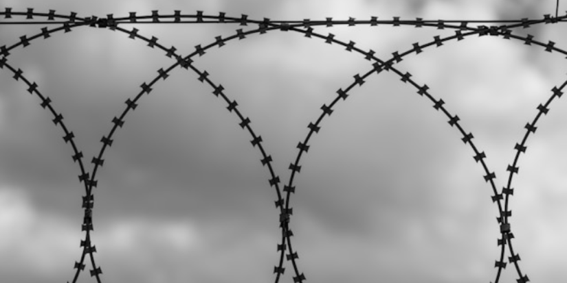 Псковичка осуждена за сбыт наркотиков и хранение боеприпасов - 2025-10-06 13:05:00 - 1