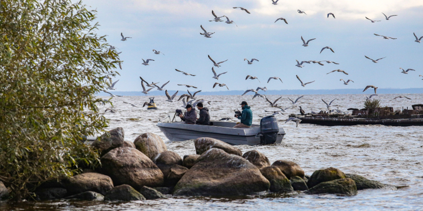 В Псковской области сняли фильм про рыбацкий фольклор - 2025-10-16 11:05:00 - 1