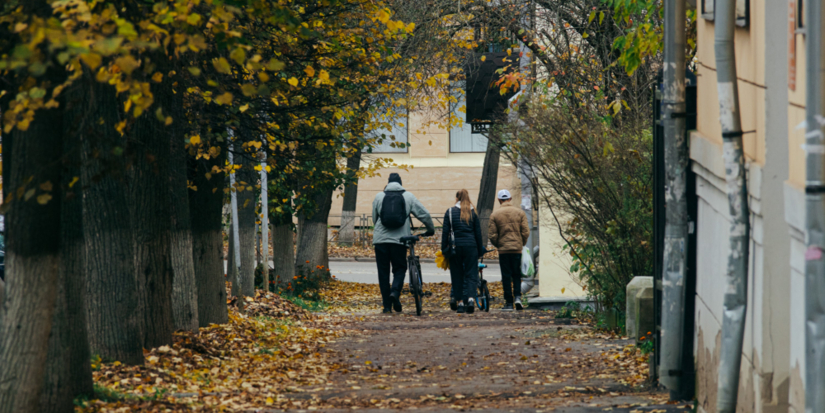 В Псковской области почти 200 пап получают пособие по уходу за ребёнком - 2025-10-20 13:35:00 - 1