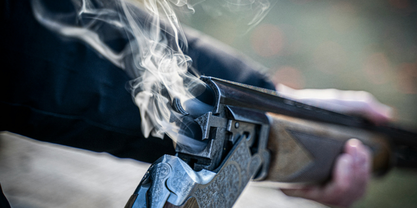 20 единиц оружия изъяли росгвардейцы у жителей Псковской области за неделю - 2025-10-22 10:05:00 - 1