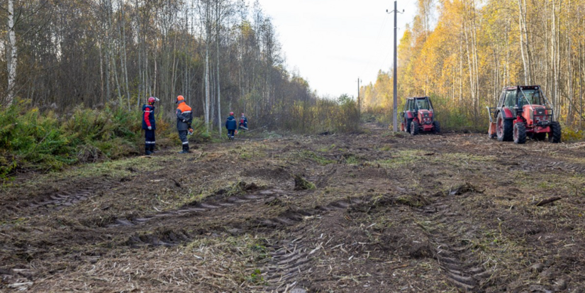 Более пяти тысяч километров ЛЭП расчистили энергетики региона - 2025-10-22 09:35:00 - 1