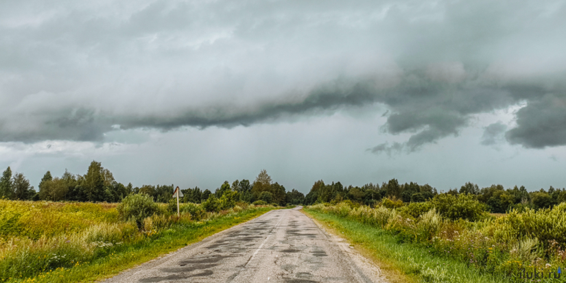 Регионы России ждут усиления ураганов и сильного ветра - 2025-10-24 17:35:00 - 1