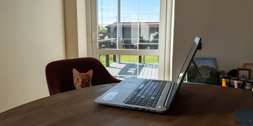 Минтруд сообщил о росте числа соцконтрактов на открытие бизнеса - 2025-10-26 18:05:00 - 1