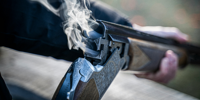 25 единиц оружия изъяли росгвардейцы у жителей Псковской области за неделю - 2025-10-27 15:35:00 - 1