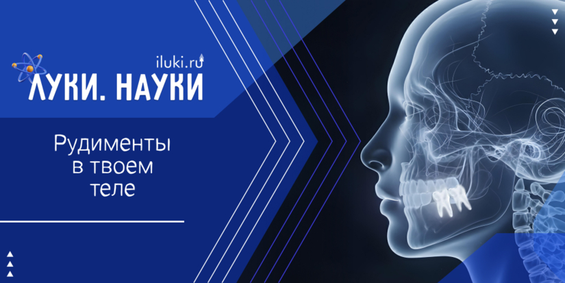 «Луки.Науки» расскажет о ненужных частях тела - 2025-10-30 17:35:00 - 1