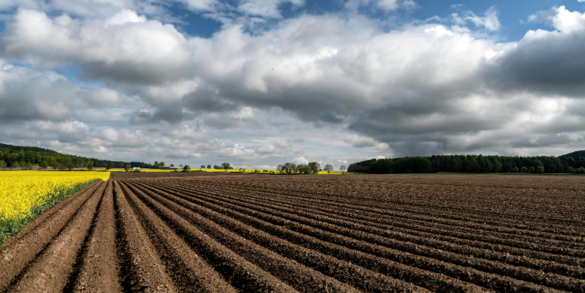 В Псковском парламенте подвели итоги первого аграрного диктанта - 2025-10-28 16:35:00 - 1