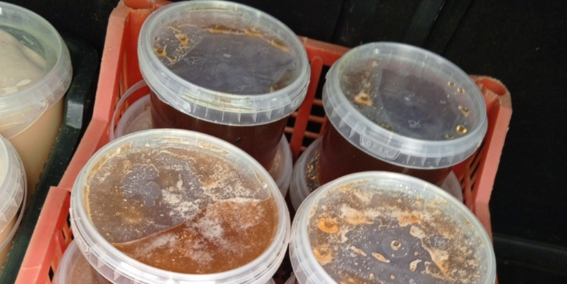 Мёд без документов не пропустили в РФ специалисты псковского Россельхознадзора - 2025-11-04 10:05:00 - 1