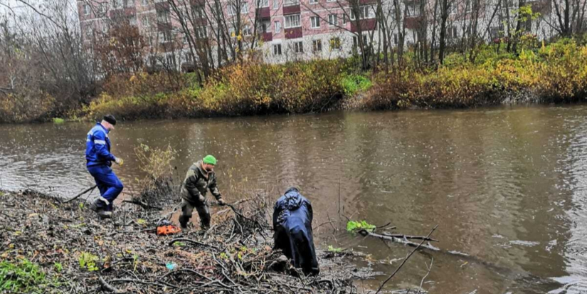 В Великих Луках продолжается осенний месячник по благоустройству - 2025-11-06 10:35:00 - 1