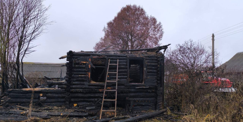 Мужчина погиб во время пожара в Локнянском районе - 2025-11-11 13:05:00 - 1