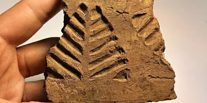 Археологическая коллекция Пскова пополняется новыми находками - 2025-11-12 14:05:00 - 1