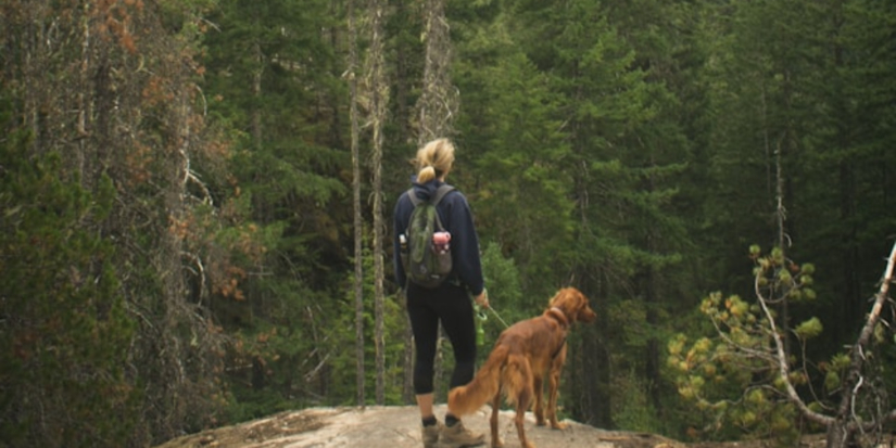 Стартовал Всероссийский конкурс видео-эссе «Мой Дальний» - 2025-11-15 12:05:00 - 1