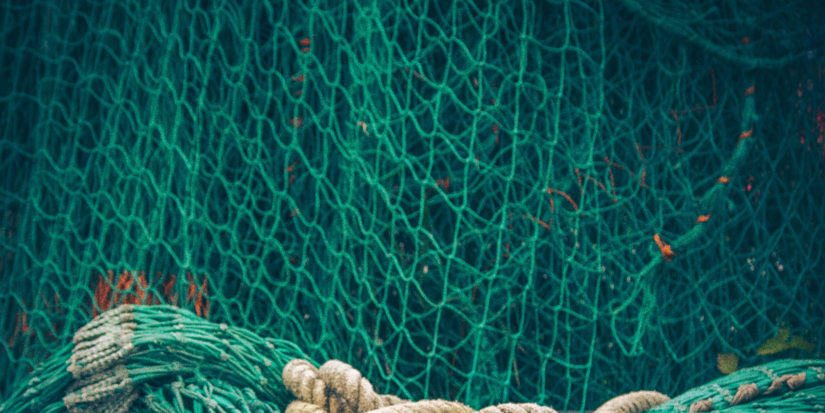 Двух браконьеров из Великих Лук задержали с поличным - 2025-11-28 12:05:00 - 1