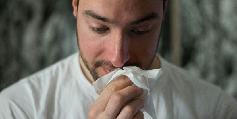 В России продолжаются испытания вакцины против аллергии на пыльцу березы - 2025-12-01 19:05:00 - 1