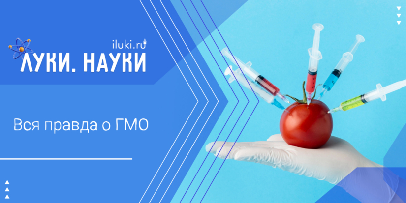 «Луки.Науки» сделает вашу жизнь спокойнее - 2025-12-11 17:35:00 - 1