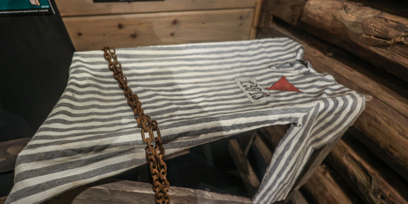 В изборском музее открылась выставка «Без права на забвение» - 2025-12-08 16:35:00 - 1